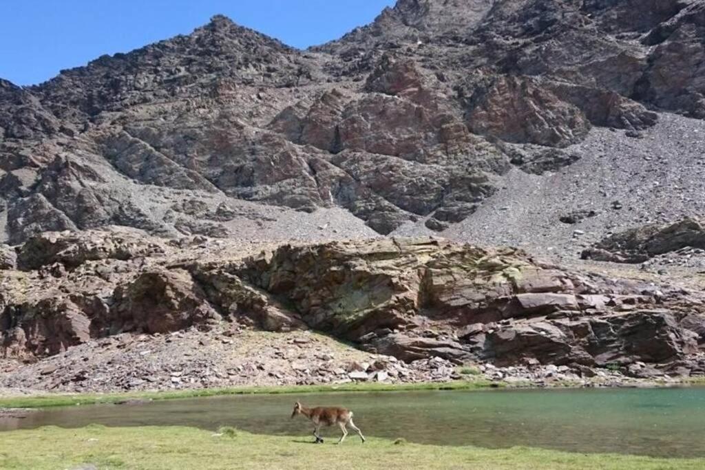 Vila Casa La Solea. Vistas Al Pueblo Y La Sierra Bubión Exteriér fotografie